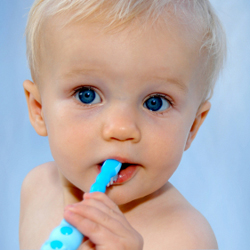 brosser dents bébé