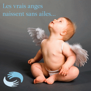 Les vrais anges naissent sans ailes 
